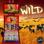 Play WildLife Slot Machine at Bailey's Place