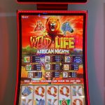 Play WildLife Slot Machine at Bailey's Place